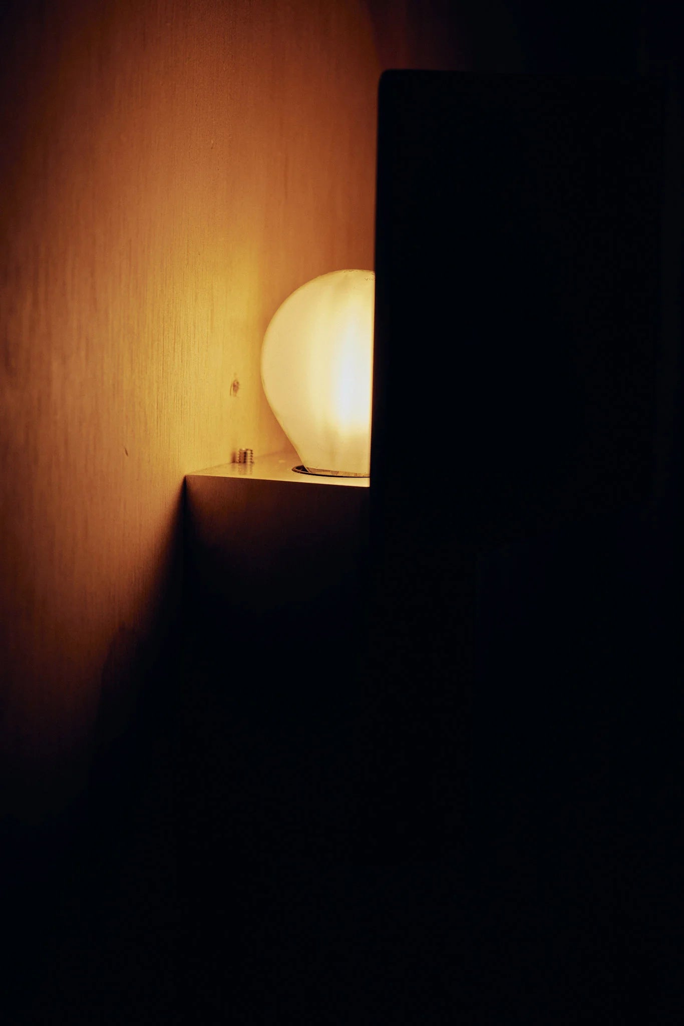 Shield Wall Light